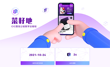 區(qū)塊鏈項目